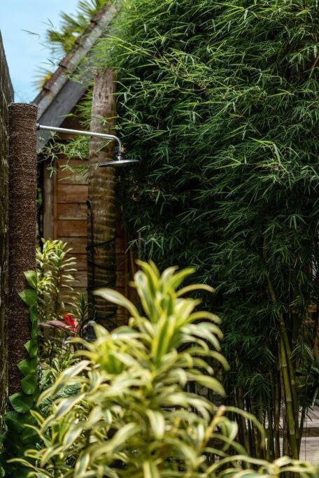 The Padang Villa Jungle Escape 5 Mins Drive From Uluwatu'S Beaches Eksteriør bilde